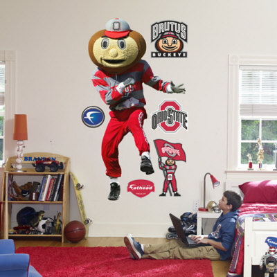 brutus 435 gym