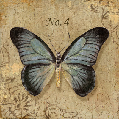 Clair's Butterfly I L�mina