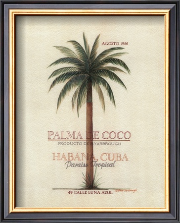 Palma de Coco Lámina enmarcada
