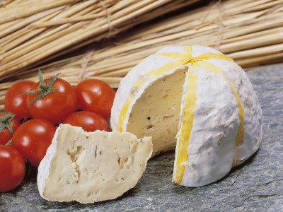 cigolini-g-close-up-of-cheese-gaperon-and-tomatoes.jpg