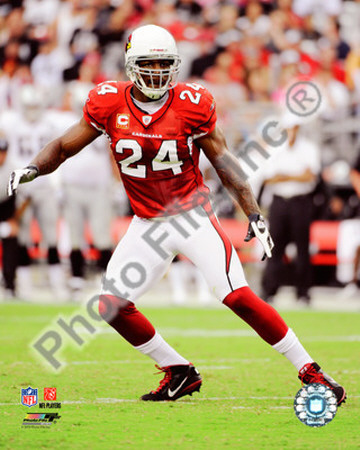 Adrian Wilson 2010 Action Photo