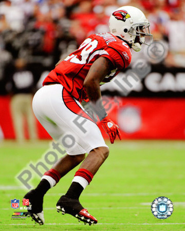Dominique Rodgers-Cromartie 2010 Action Photo