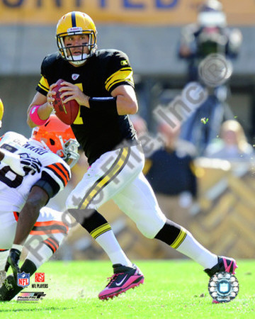 Ben Roethlisberger 2010 Action Photo