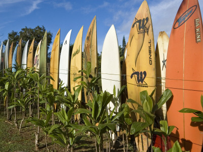 Colourful Surfboards