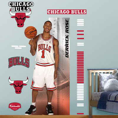 Derrick Rose Fathead Growth Chart