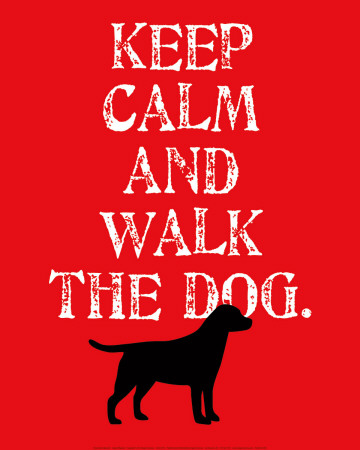 Calm on Keep Calm Labrador P Sters Por Ginger Oliphant Na Allposters Com Br
