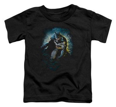 Toddler: Batman - Bat Cave Shirts