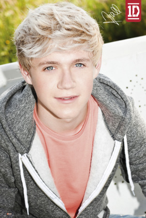 Pictures  Direction on One Direction  Niall Posters Bij Allposters Nl