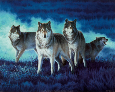 Wolf on Wolf Group Posters By John Naito   Allposters Co Uk