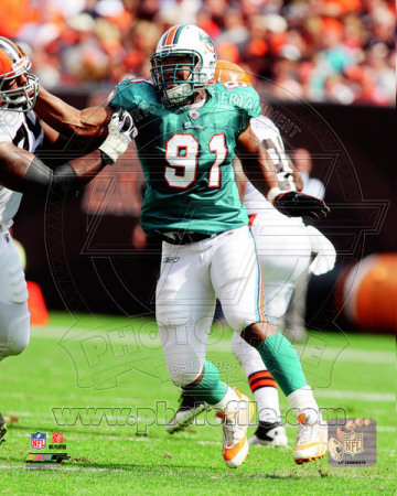 Cameron Wake 2011 Action Photo