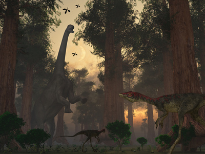 A Camarasaurus Dinosaur Feeding While a Pair of Compsognathus Sneak Around Photographic Print by  Stocktrek Images