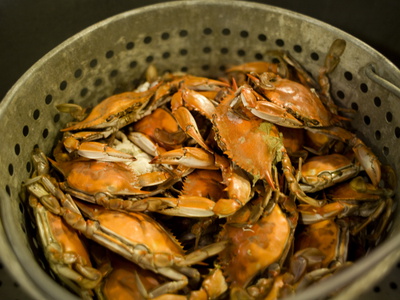 Blue Crab Recipes - Sweet, Succulent and Delicious!