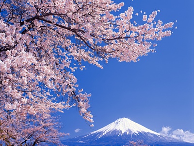 Sakura folklore japonés Sakura folklore japonés