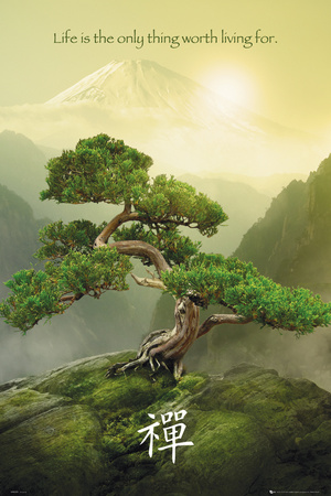 Zen-Mountain Poster