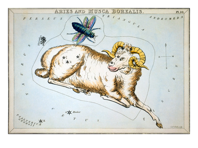 Constellation: Aries Giclee Print by Sidney Hall