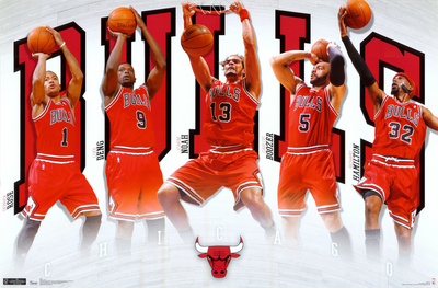 Bulls - Team 2011 Photo