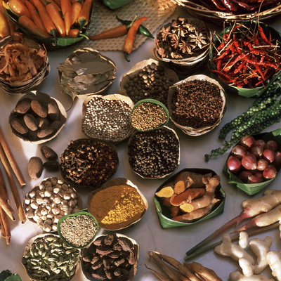 Indonesian Foods  Spices on Spices Used In Thai  Indian  Indonesian And Malay Food  Thailand