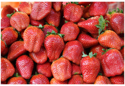 Strawberries (Pile) Art Poster Print Prints