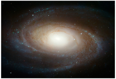 Hubble Photographs Grand Design Spiral Galaxy M81 Space Photo Art Poster Print Photo