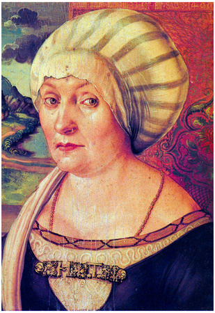 Albrecht Durer Portrait of Felicitas Tucher Art Print Poster Posters