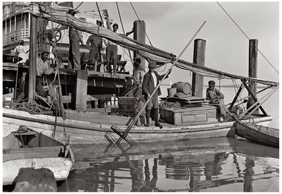 Oysterboy 1909 Archival Photo Poster Print Posters