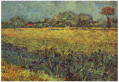 Vincent Van Gogh (View of Arles with irises) Art Poster Print Posters