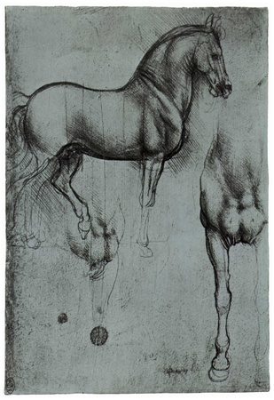 Leonardo da Vinci (Horse trials) Art Poster Print Poster