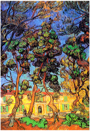 Vincent Van Gogh Trees in the Garden of Saint-Paul Hospital Art Print Poster Photo