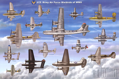 USAAF Warbirds WWII Airplane Educational Military Chart Poster Photo