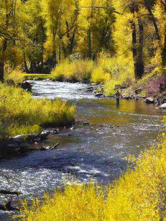 A Fly Fisherman Casts on Beautiful Autumn Day Photographic Print by Robbie George