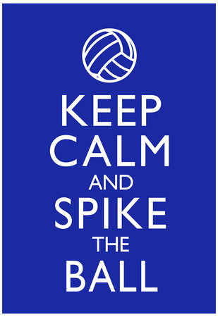 Keep Calm and Spike the Ball Volleyball Poster Posters