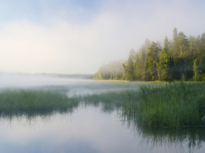 Lake Itaska, the Headwaters of the Mississippi River, Itaska State Park, Minnesota, USA Photographic Print by Clint Farlinger