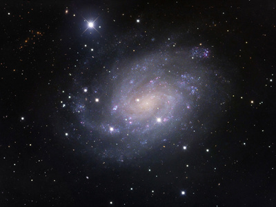 NGC 300, Spiral Galaxy in Sculptor Photographic Print by Robert Gendler