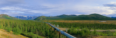 Trans Alaska Oil Pipeline Just South of the Brooks Range Photographic Print by Paul Andrew Lawrence