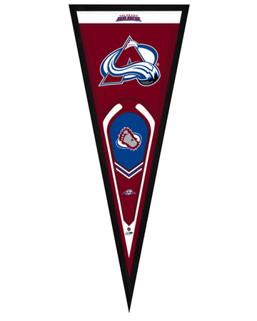 Colorado Avalanche Pennant Framed Memorabilia