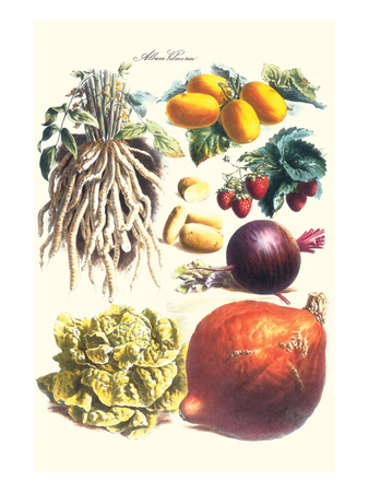 Vegetables; Lettuce, Persimmon, Turnip, Potato, Pumpkin, Strawberries, and Legumes Posters by Philippe-Victoire Leveque de Vilmorin