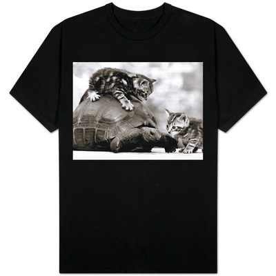 Two Young Kittens Playing with a Slow Moving Giant Tortoise, 1983 T-shirts