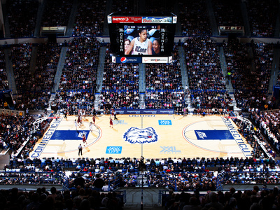 University of Connecticut - UConn Women's Basketball Photo