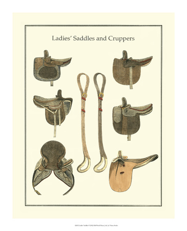 Ladies Saddles Giclee Print by  Vision Studio