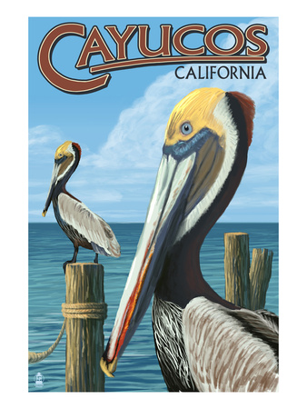 Cayucos, California - Pelicans Poster by  Lantern Press
