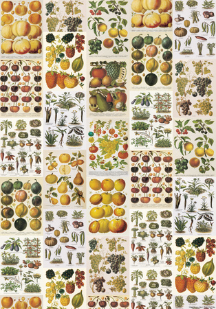 Frutta E Verdura - Vintage Style Italian Fruit Collage Poster Posters