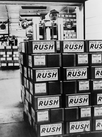 Salk Vaccine, Was Rushed into Distribution in 1956 to Prevent Polio Photo