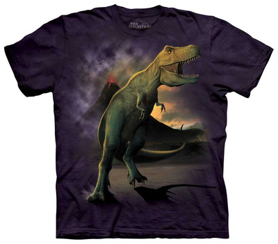 Youth: T-Rex Shirts