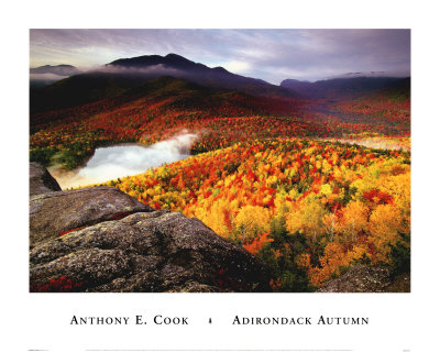 Adirondack Autumn Art by