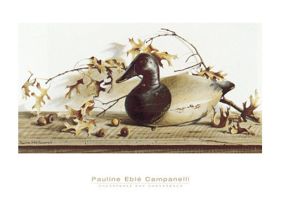 Chesapeake Bay Canvasback Prints by Pauline Eblé Campanelli