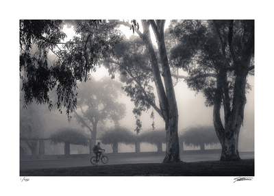 Foggy Commute Giclee Print by Donald Satterlee