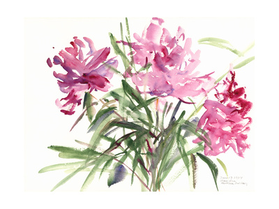 Peonies, 2004 Giclee Print by Claudia Hutchins-Puechavy