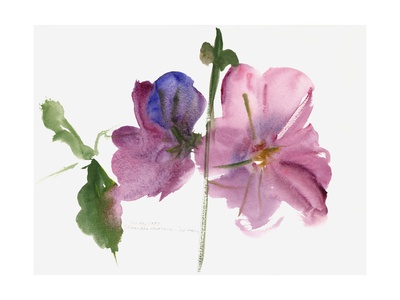 Hollyhocks, 1988 Giclee Print by Claudia Hutchins-Puechavy