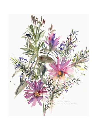 Floral, South African Daisies and Lavander, 2004 Giclee Print by Claudia Hutchins-Puechavy