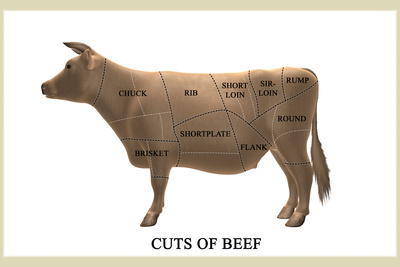 Cuts of Beef Photographic Print by Take 27 LTD